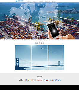 某某供應(yīng)鏈服務(wù)公司案例